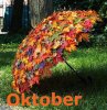 Trädgårdskalendern för Oktober