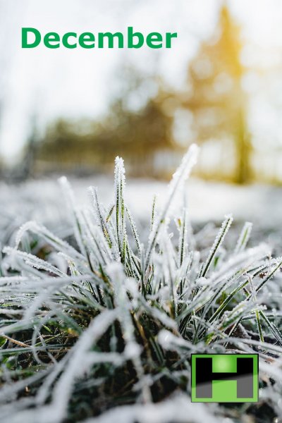 Trädgårdskalendern för December