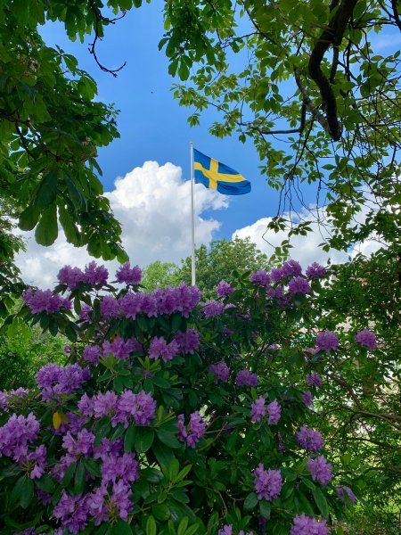 Nationaldagen!