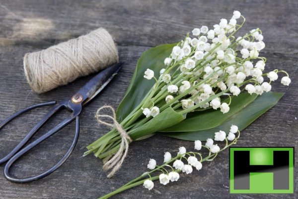 Trädgårdskalendern för Maj